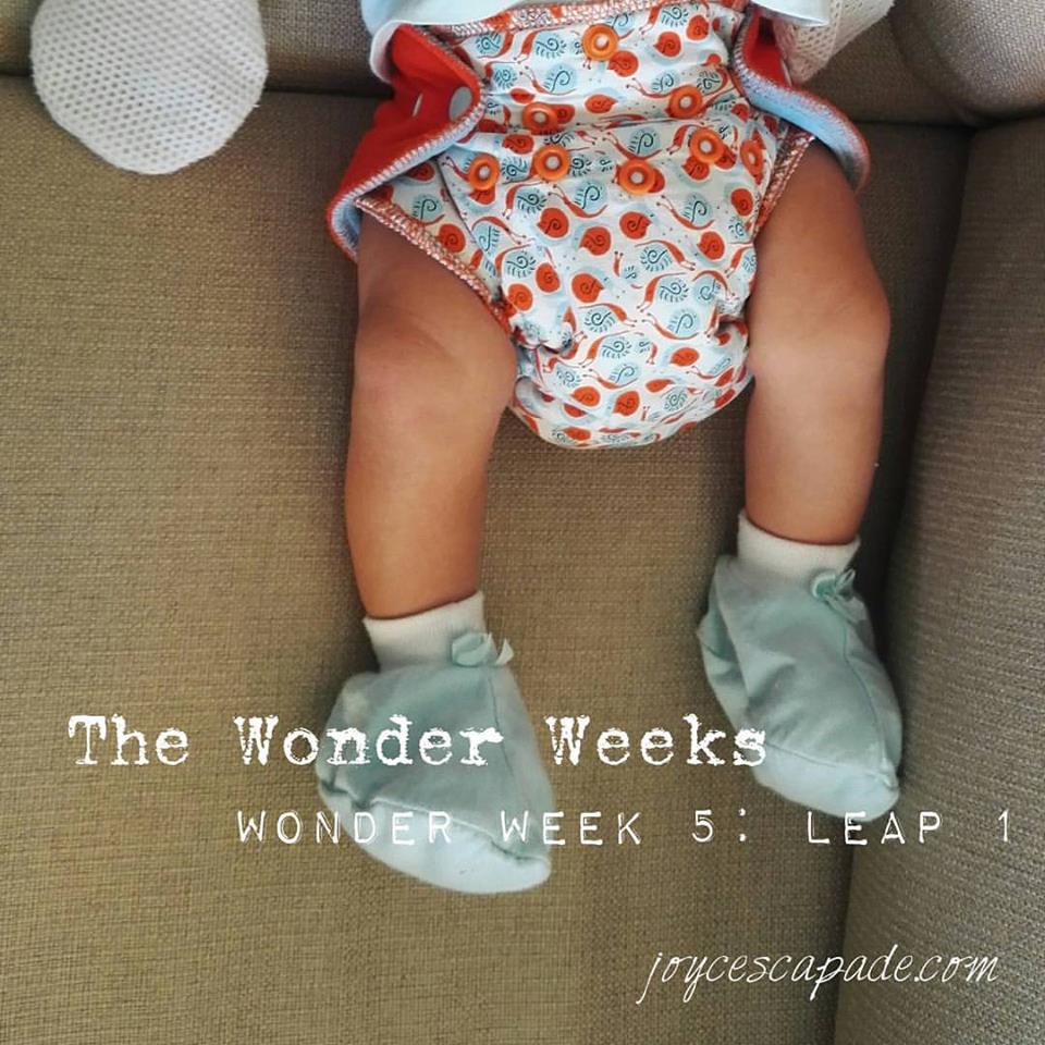 wonder weeks week 5