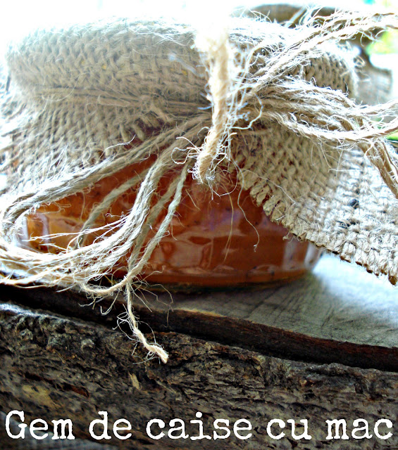 GEM DE CAISE CU MAC