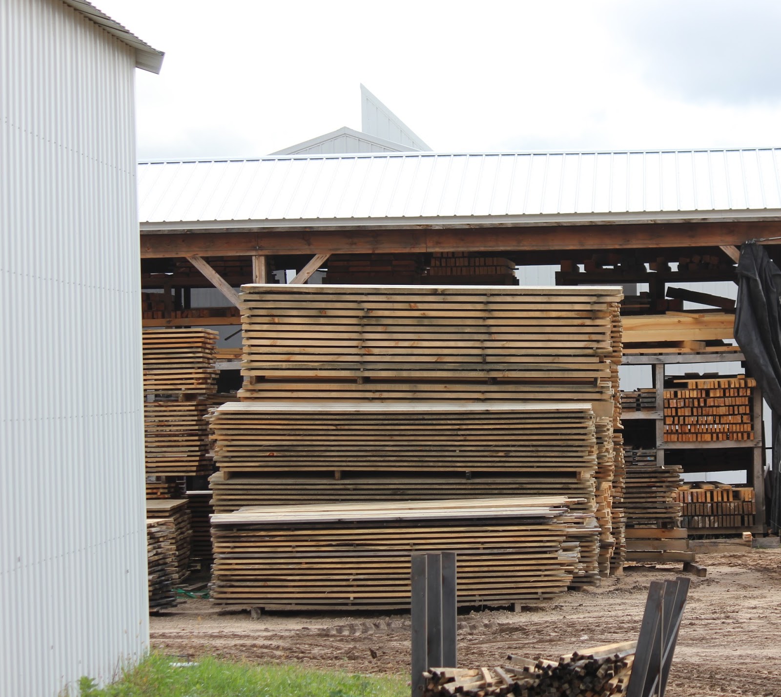 The Cabin Countess An Amish Sawmill