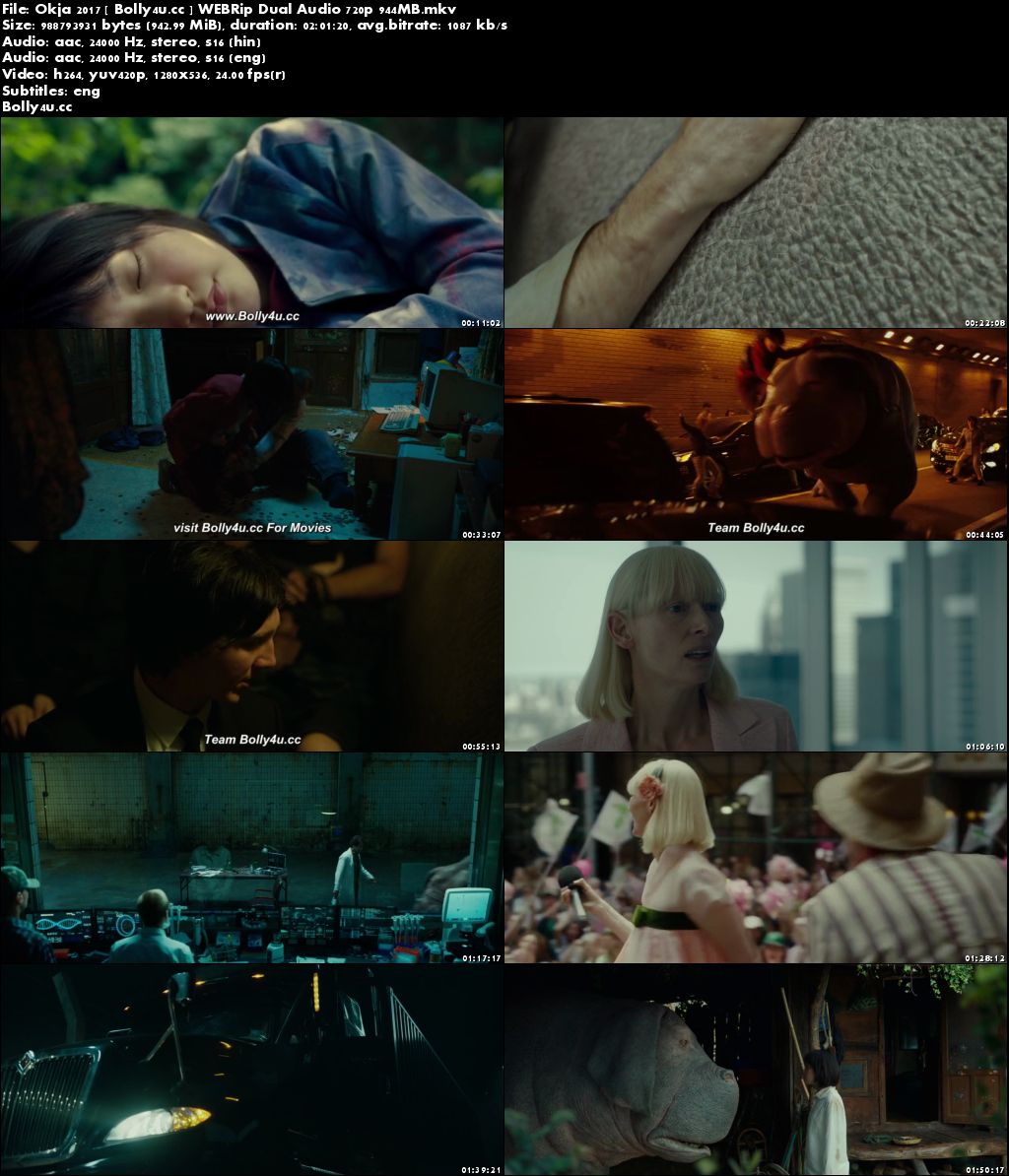 Okja 2017 WEBRip 350MB Hindi Dual Audio 480p Download