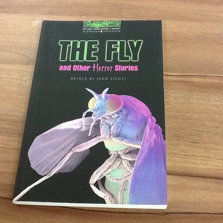 The fly original picture