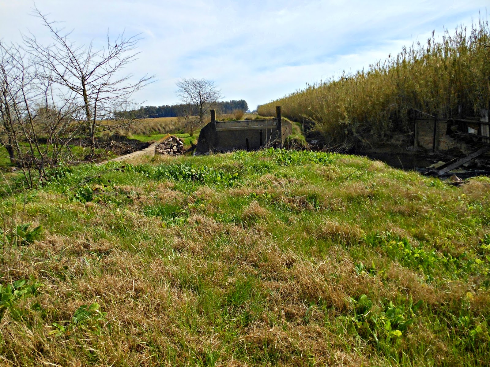 CAMINANDO LA PAMPA Arroyo del Medio, Buenos Aires, Argentina
