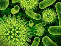 Bakteri dan virus yang ditularkan melalui air umum dan masalah kesehatannya yang harus Anda ketahui Bakteri dan virus yang ditularkan melalui air umum dan masalah kesehatannya yang harus Anda ketahui
