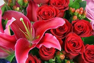 Jual Bunga Valentine Mawar Holland