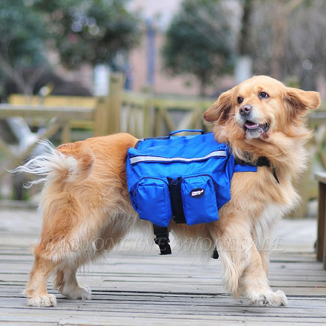 Mochila para cachorro