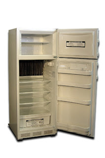 gas fridge talks about transporting and storing your propane refrigerator.
