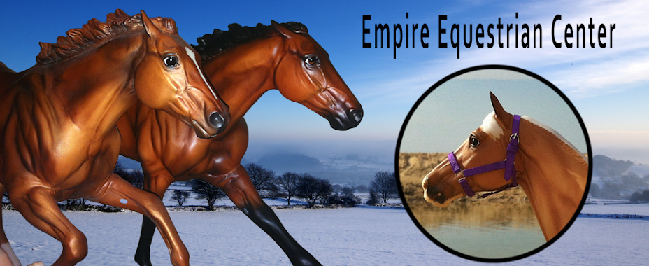Empire Equestrian Center and Saddlery