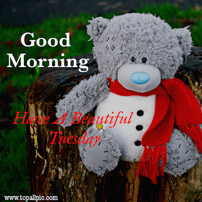 good morning tuesday images good morning tuesday images