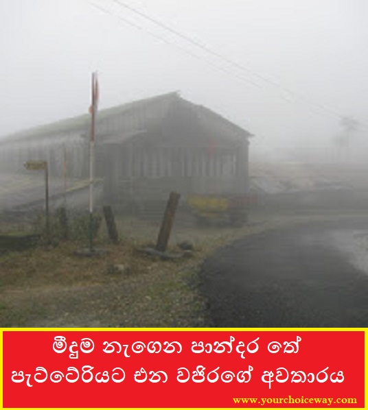 මීදුම නැගෙන පාන්දර තේ පැට්ටේරියට එන වජිරගේ අවතාරය (Tea Factory) - Your Choice Way