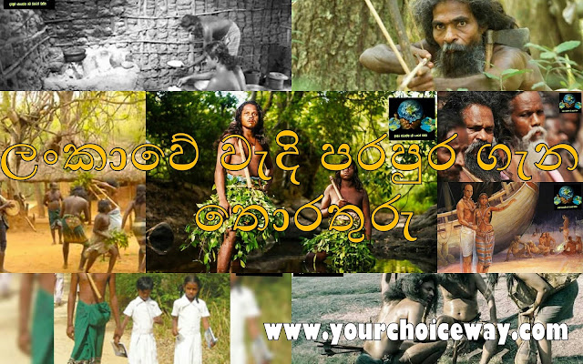 ලංකාවේ වැදි පරපුර ගැන තොරතුරු (Wadi Parapura) - Your Choice Way