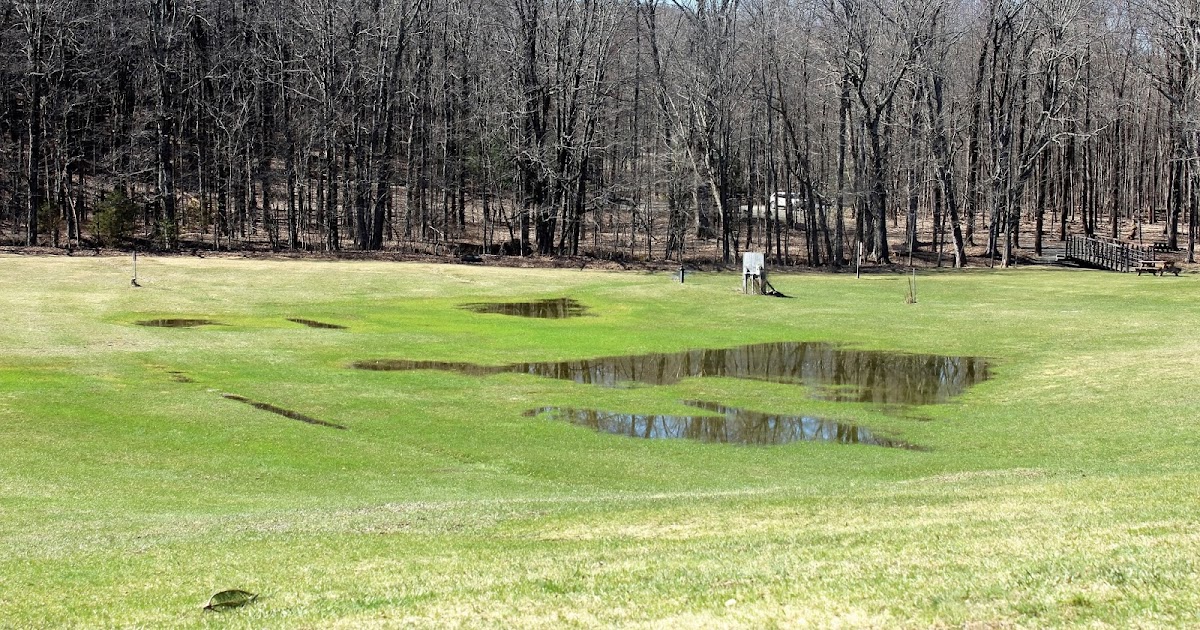 Walking Man 24 7 Schodack Town Park