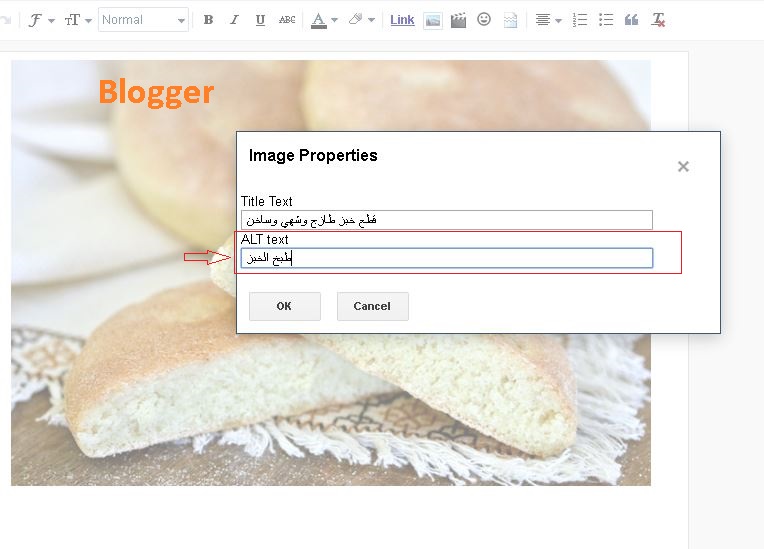 ادراج الكلمات الدلالية في تاغ الصور في منصة بلوجر keyword+alt images in Blogger