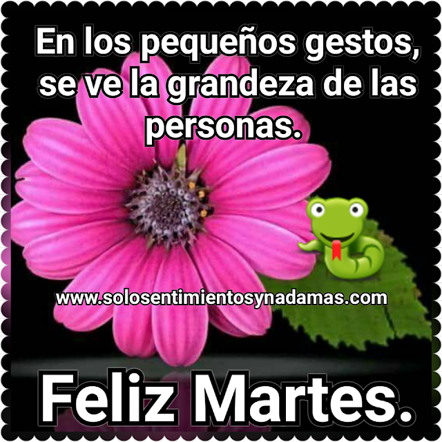 Feliz Martes.