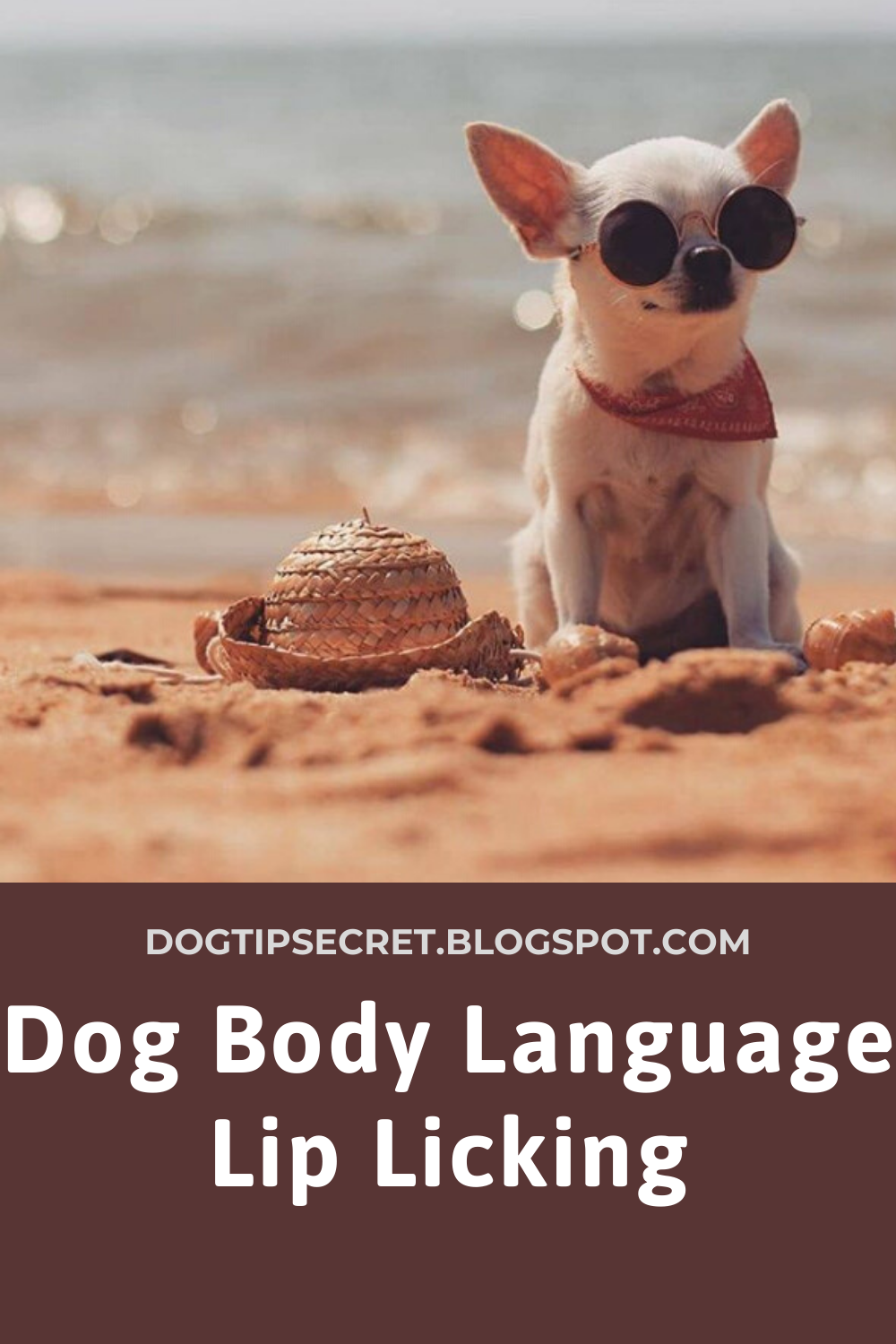Dog Body Language Lip Licking Dog training tips Dog Tips Secret