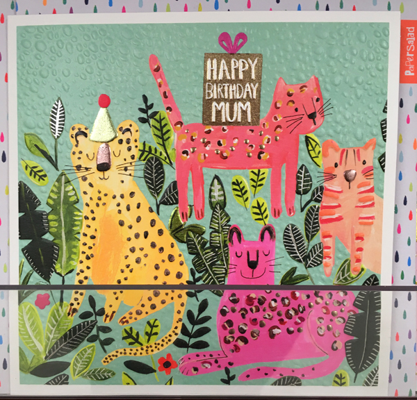 print & pattern CARDS paper salad at sainsbury's