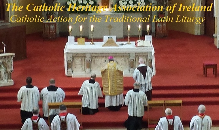The Catholic Heritage Association of Ireland
