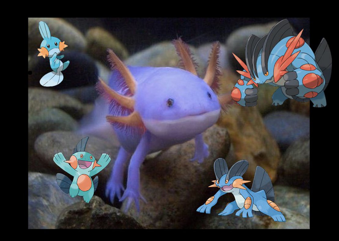 Alebrijes de Xochimilco Datos curiosos