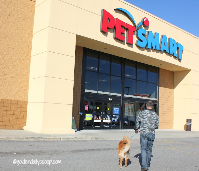 Shopping at PetSmart for Wellness Complete Health dog food Wellness complete health senior dog food available at petsmart