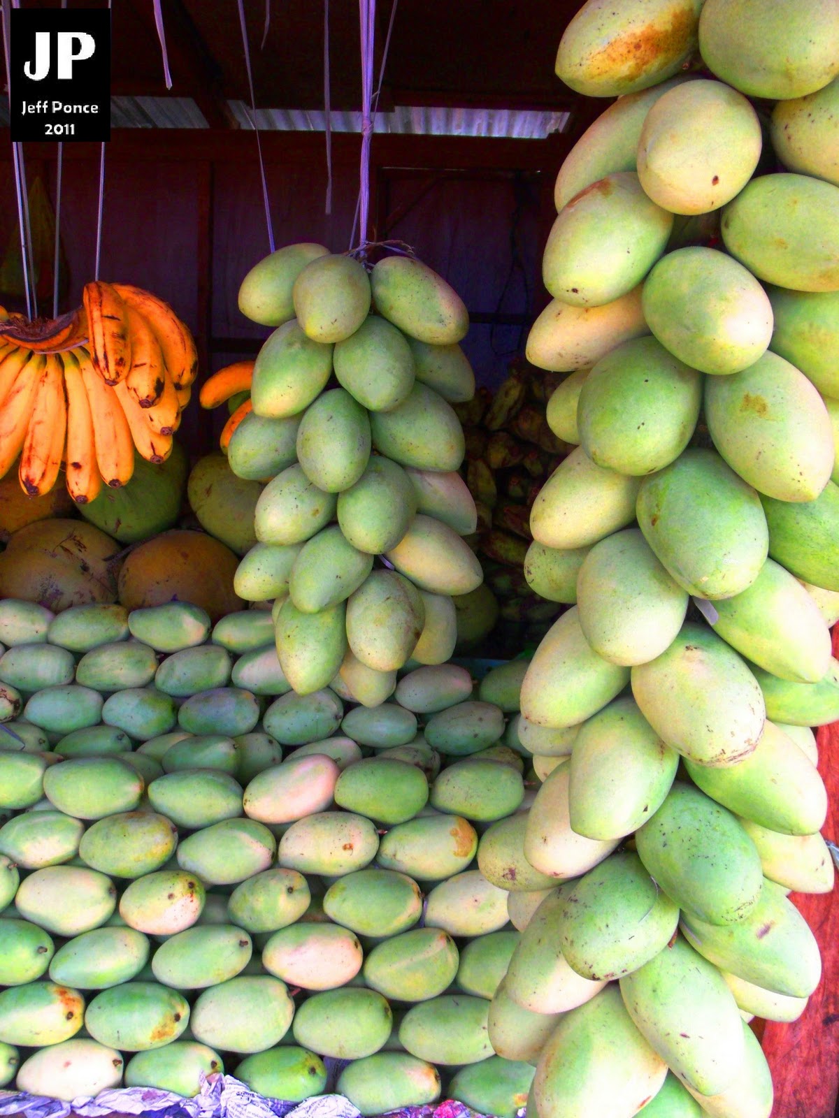Bisayang Manlalakbay around the Philippines Guimaras Sweetest Mangoes