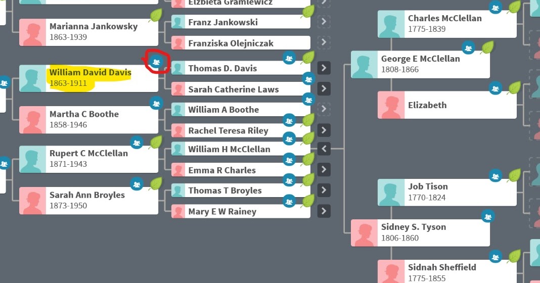 A Family Tapestry: Opening the Ancestry DNA Toolbox