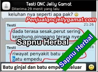 Obat Penyumbatan Saluran Empedu Tradisional