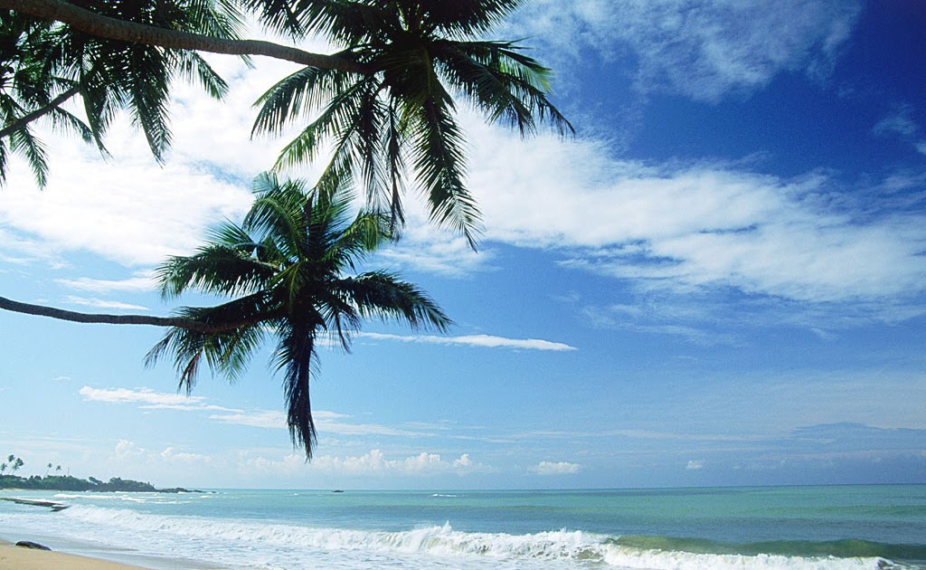 Bora Bora Beach the Vacation Spot | Beautiful Place in the World
