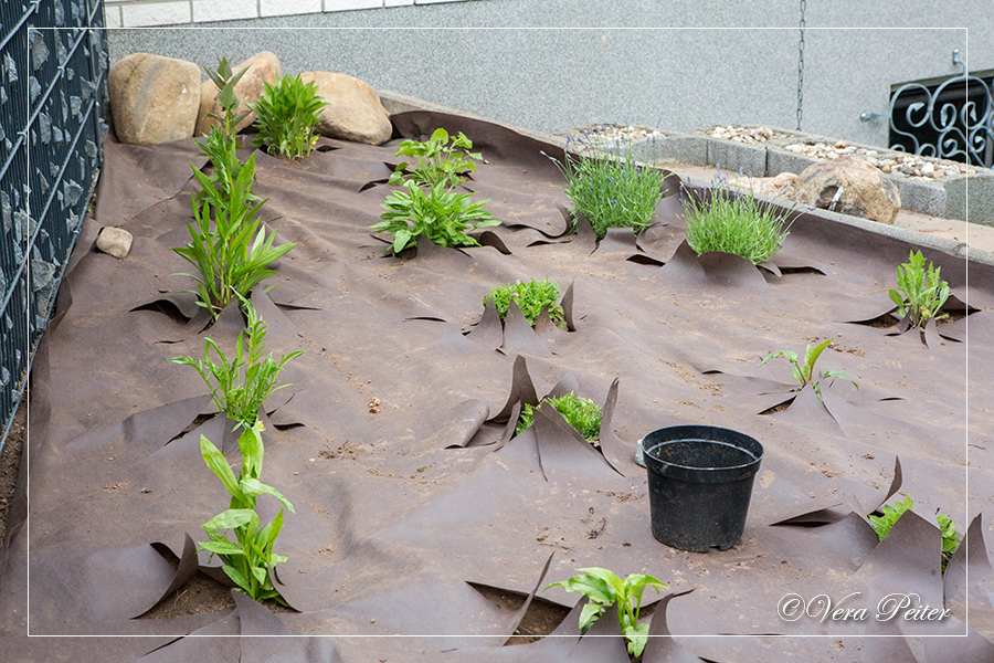 Artifactum Ver Bilis Blog Gartenarbeiten Und Zitat