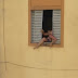 VÍDEO mostra mulher grávida agredida por marido tentando se jogar pela janela no RJ; homem foi preso em flagrante