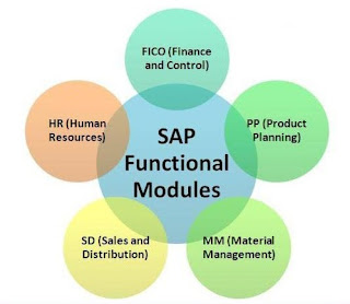 Difference between SAP Technical and Functional Modules - SAP Technical ...