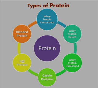 Benefits of Whey Protein