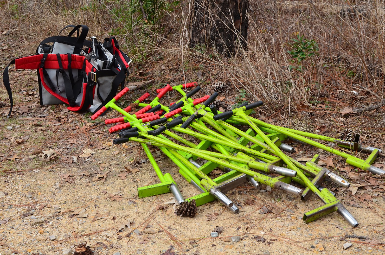 Journals Of An Amateur Naturalist Longleaf Pine Project