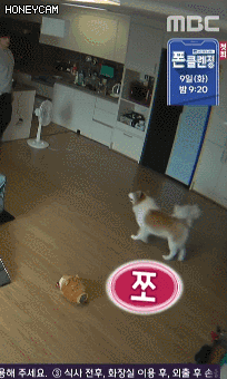 Honeycam%2B2021-02-06%2B12-33-49.gif