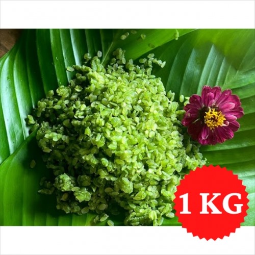 Cốm Non Tú Lệ (1kg)