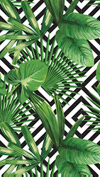 wallpapers lindos tropicais seu tropical celular