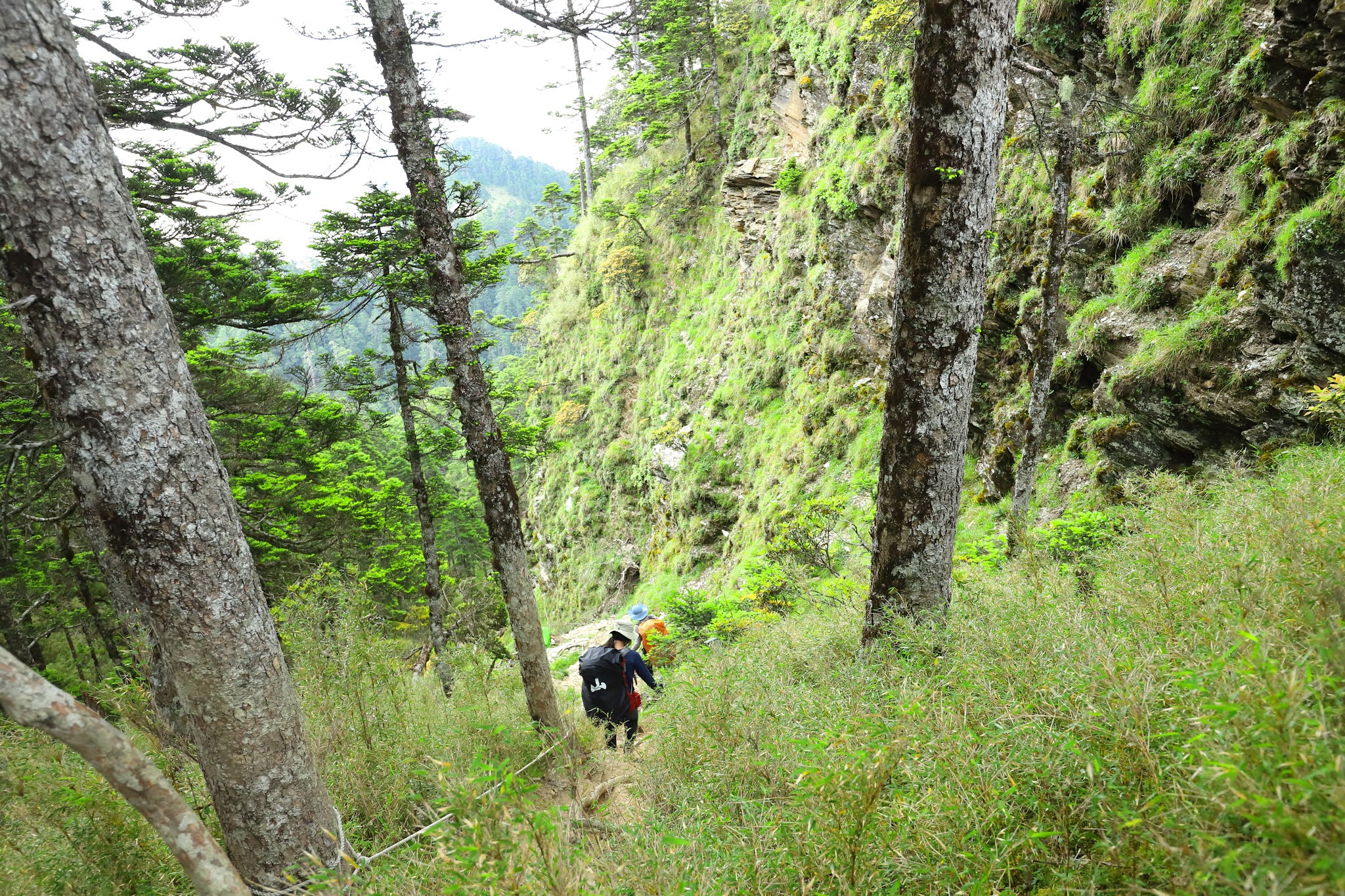 羊頭山縱走畢祿山