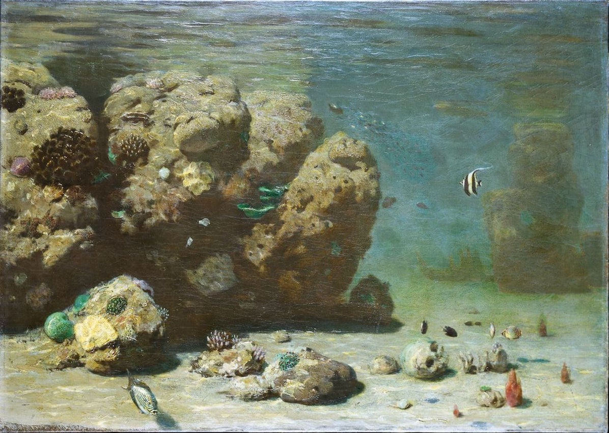 Gurney Journey First Paintings of Underwater Landscapes