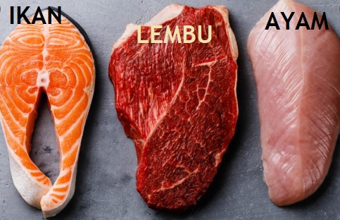 Anim Agro Technology: DAGING MERAH VS PUTIH - APA DIA? (Part 2)
