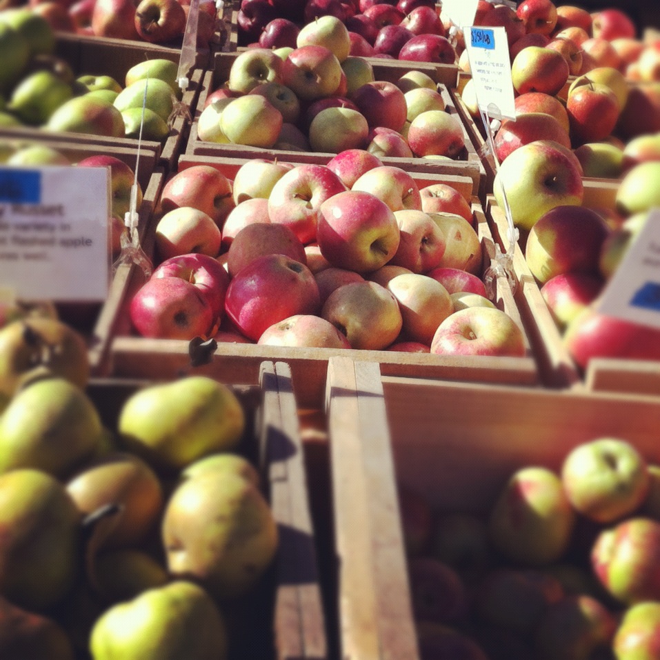 Cantabridgette Apple Feature Pink Lady, Mutsu, and Jonagold