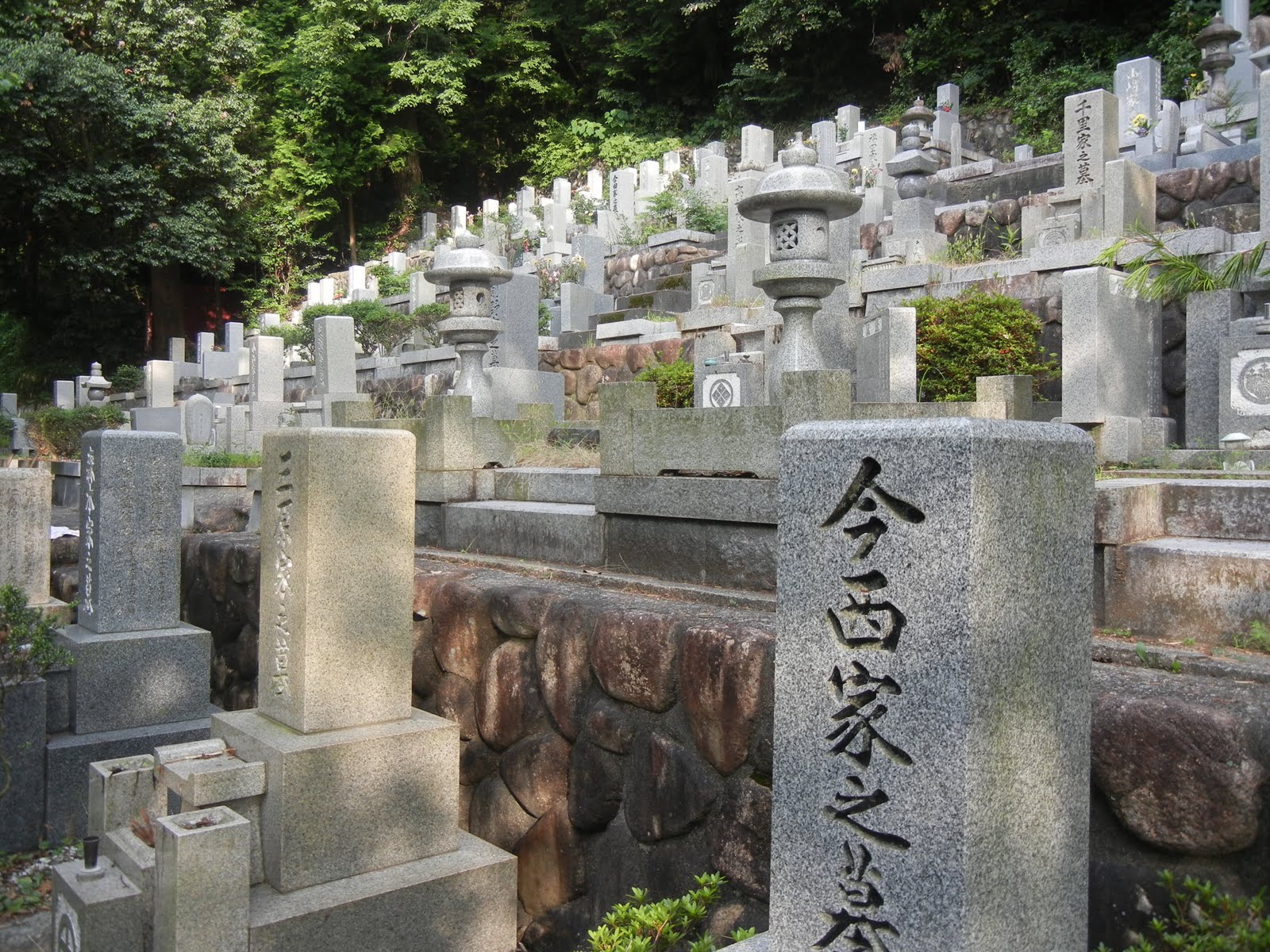 paint-me-chic-ohaka-mairi