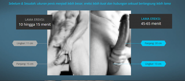 Hammer of Thor Herbal Di Gresik COD-Liceng Shop-082131312334