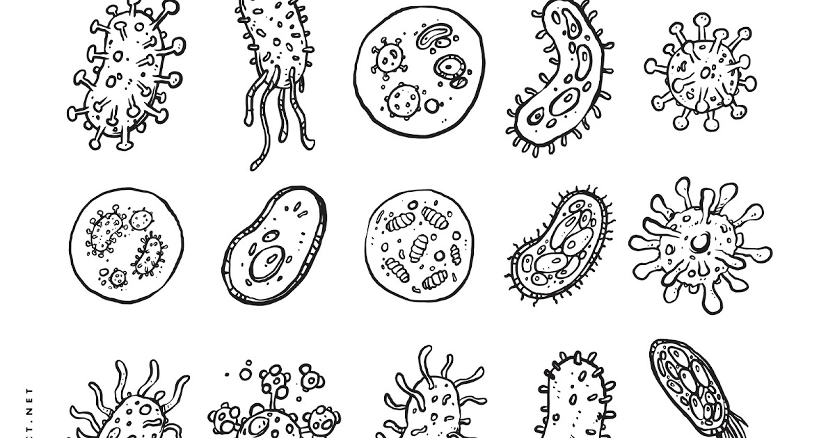 Virus Illustration Hand Drawn Free Download DEMO - PNG & EPS File