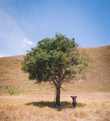 perjalanan menuju air terjun tanggedu, savana, sumba