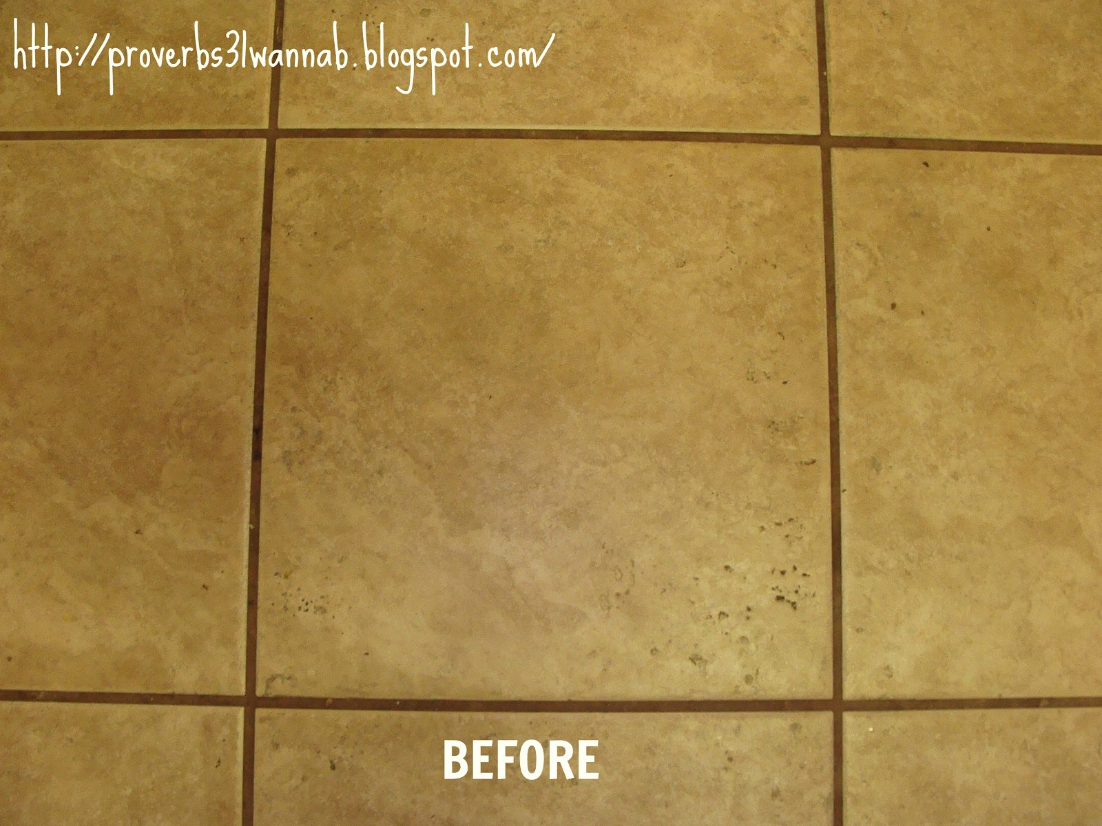 proverbs-31-wanna-be