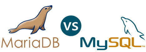 Les différences entre MariaDB et MySQL