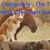 Horse Ownership - The True Cost of Owning Your Own Horse