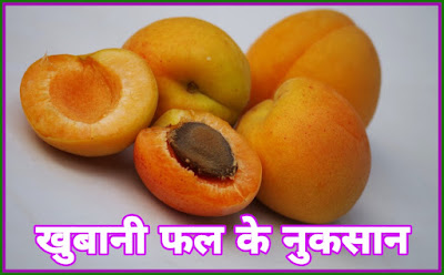 Apricots Fruit Facts In Hindi - खुबानी फल के बारे में हिंदी में जानकारी
