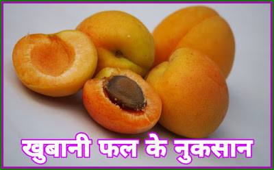 Apricots Fruit Information In Hindi - खुबानी फल के बारे में हिंदी में जानकारी Apricots Fruit Facts In Hindi - खुबानी फल के बारे में हिंदी में जानकारी