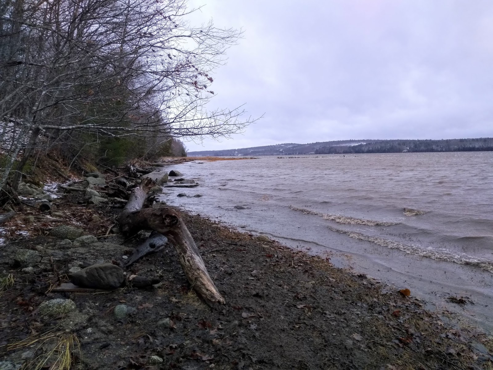 Thanksgiving Hike at Penobscot Shore Preserve (Prospect)