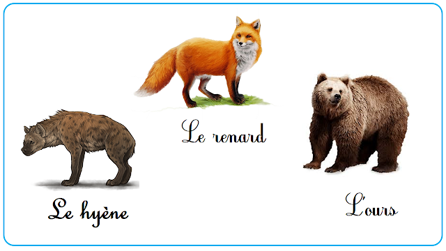 اسماء الحيوانات بالفرنسية