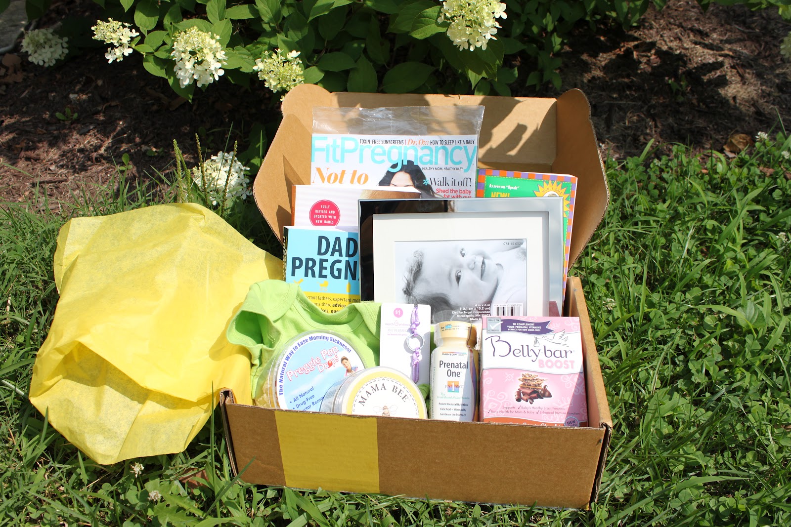 His Plan, Not Ours Pregnancy Survival Kit